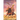 The Last Legion