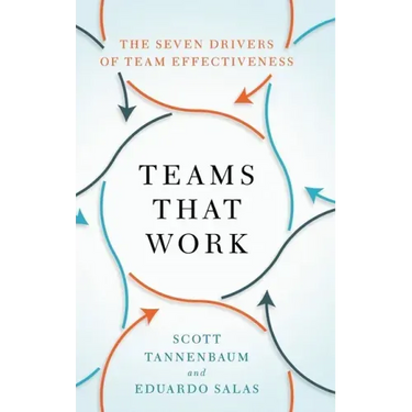 Teams That Work: The Seven Drivers of Team Effectiveness