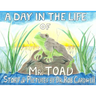 A Day in the Life of Mr. Toad