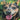 Buffy: A Plucky Little Dog's Story