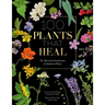 100 Plants That Heal: The Illustrated Herbarium of Medicinal Plants
