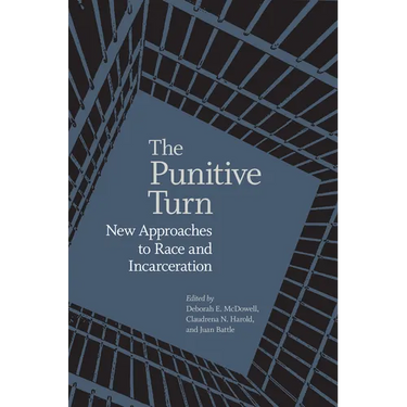 Punitive Turn: New Approaches to Race and Incarceration