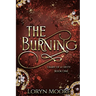 Diary of a Deity - The Burning