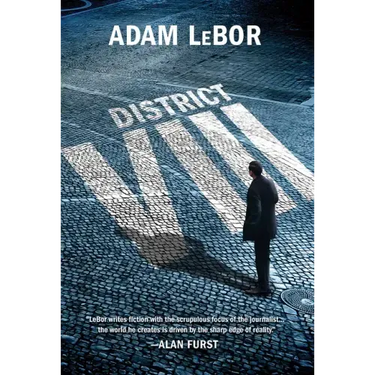 District VIII