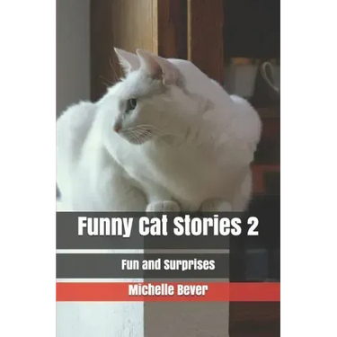 Funny Cat Stories 2: Fun and Surprises