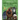 Mystery Creatures of China: The Complete Cryptozoological Guide
