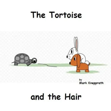 The Tortoise and the Hair
