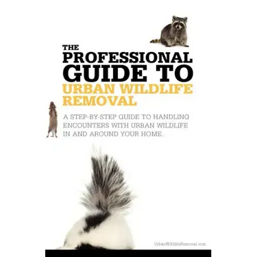 The Professional Guide to Urban Wildlife Removal