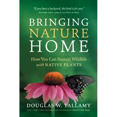 Bringing Nature Home: How You Can Sustain Wildlife with Native Plants