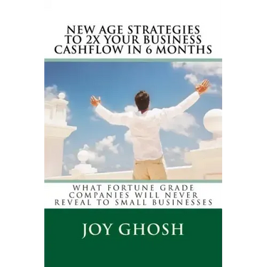 New Age Strategies To 2X Your Business Cashflow in 6 Months: What Fortune Grade Companies Will Never Reveal To Your Small Businesses