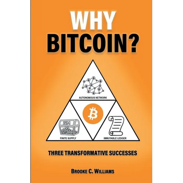 Why Bitcoin?: Three Transformative Successes