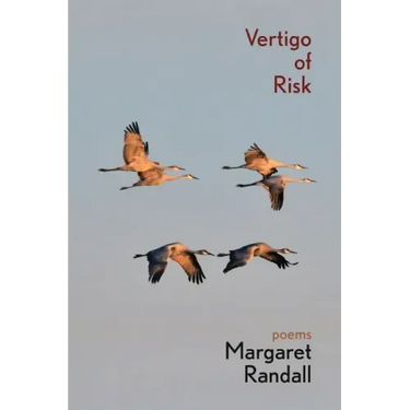 Vertigo of Risk