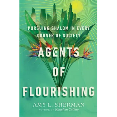 Agents of Flourishing: Pursuing Shalom in Every Corner of Society