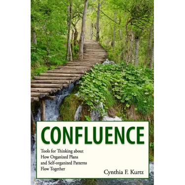 Confluence: Tools for Thinking about How Organized Plans and Self-organized Patterns Flow Together