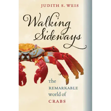 Walking Sideways: The Remarkable World of Crabs