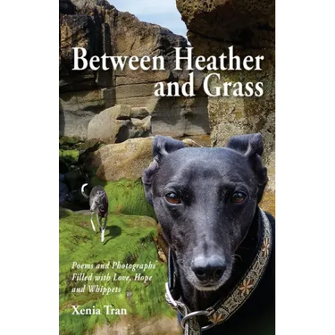 Between Heather and Grass: Poems and Photographs Filled with Love, Hope and Whippets