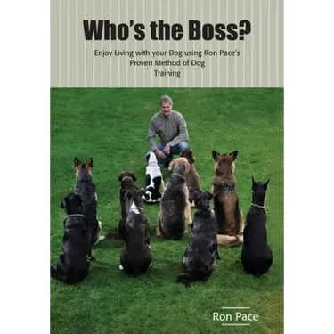 Who's the Boss?