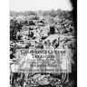 California Golden Treasures: Placer Gold Mining in California in the 1850's