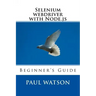 Selenium webdriver with Node.js: Beginner's Guide