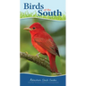 Birds of the South: Your Way to Easily Identify Backyard Birds