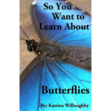 So You Want to Learn About Butterflies