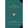 The Life of the Fly