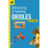 Attracting & Feeding Orioles