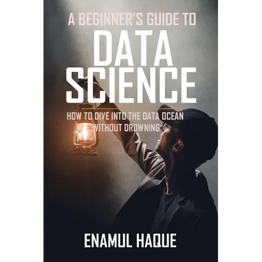 A Beginner's Guide To DATA SCIENCE: How to dive into the data ocean without drowning