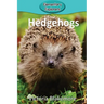 Hedgehogs