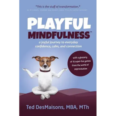 Playful Mindfulness: a joyful journey to everyday confidence, calm, and connection