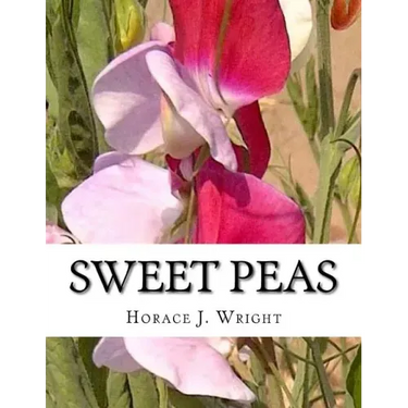 Sweet Peas