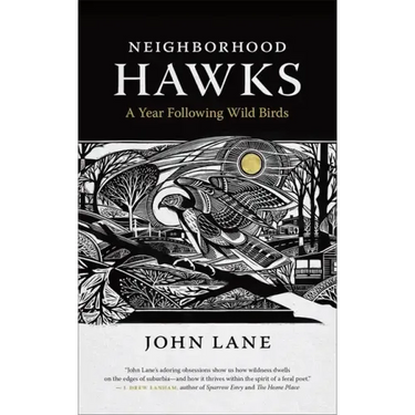 Neighborhood Hawks: A Year Following Wild Birds