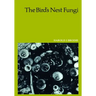 The Bird's Nest Fungi