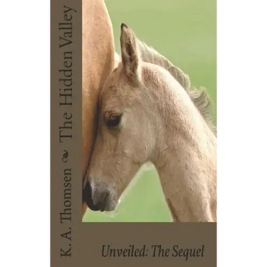 The Hidden Valley Unveiled: The Sequel