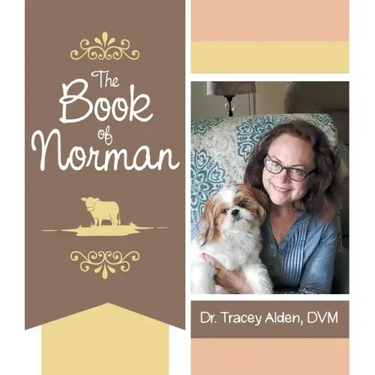 The Book of Norman