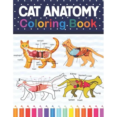 Cat Anatomy Coloring Book: Cat Anatomy Coloring Book for Kids & Adults. The New Surprising Magnificent Learning Structure For Veterinary Anatomy
