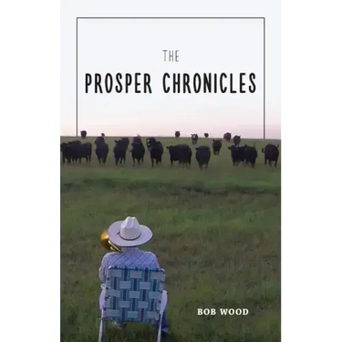 The Prosper Chronicles