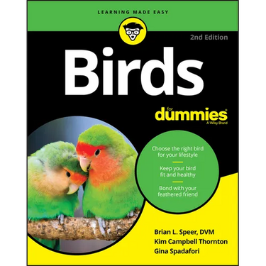 Birds for Dummies