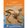 Learn from Fossils: Fluency Boost