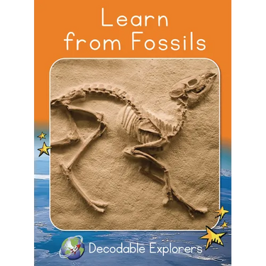 Learn from Fossils: Fluency Boost