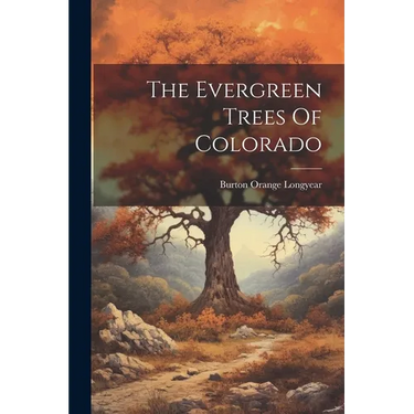 The Evergreen Trees Of Colorado