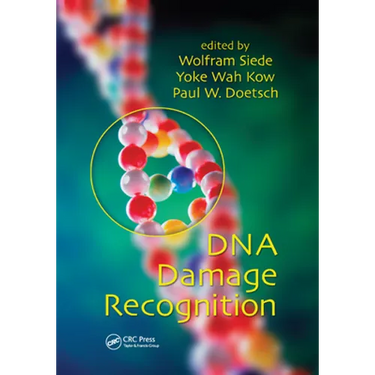 DNA Damage Recognition