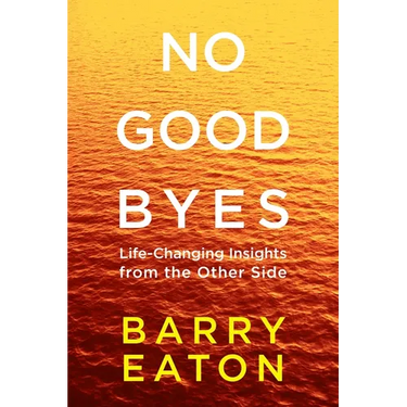 No Goodbyes: Life-Changing Insights from the Other Side