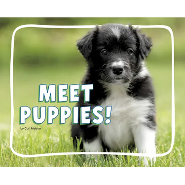 Meet Puppies!