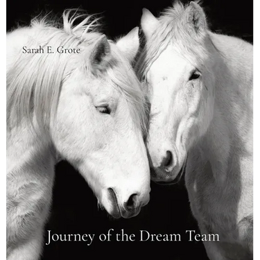 Journey of the Dream Team