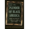 The Plunder of Black America: How the Racial Wealth Gap Was Made