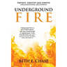 Underground Fire: Prevent, Identify and Survive Organizational Meltdowns