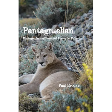 Pantagruelian: Photographs and Poems of Torres del Paine