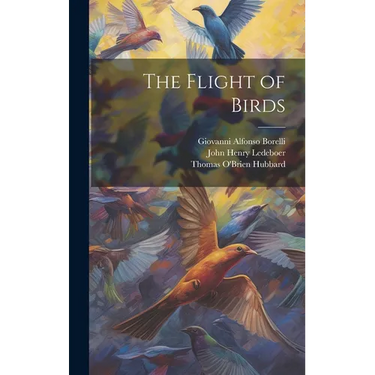 The Flight of Birds
