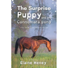 The Surprise Puppy and the Connemara Pony - Dyslexia Friendly